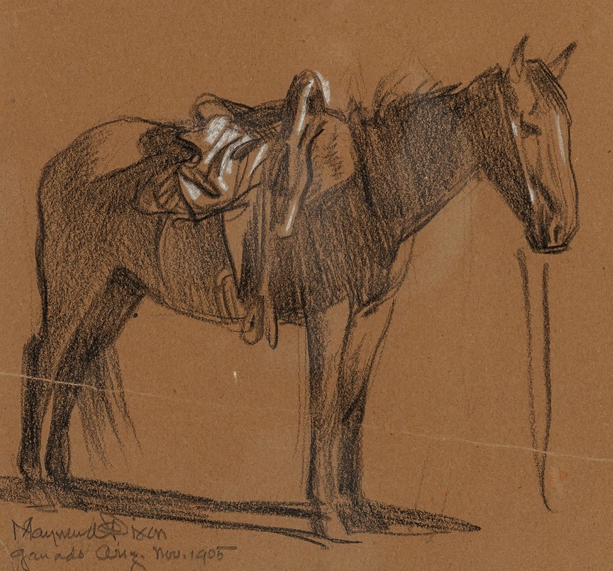 Maynard Dixon - Horse Study
