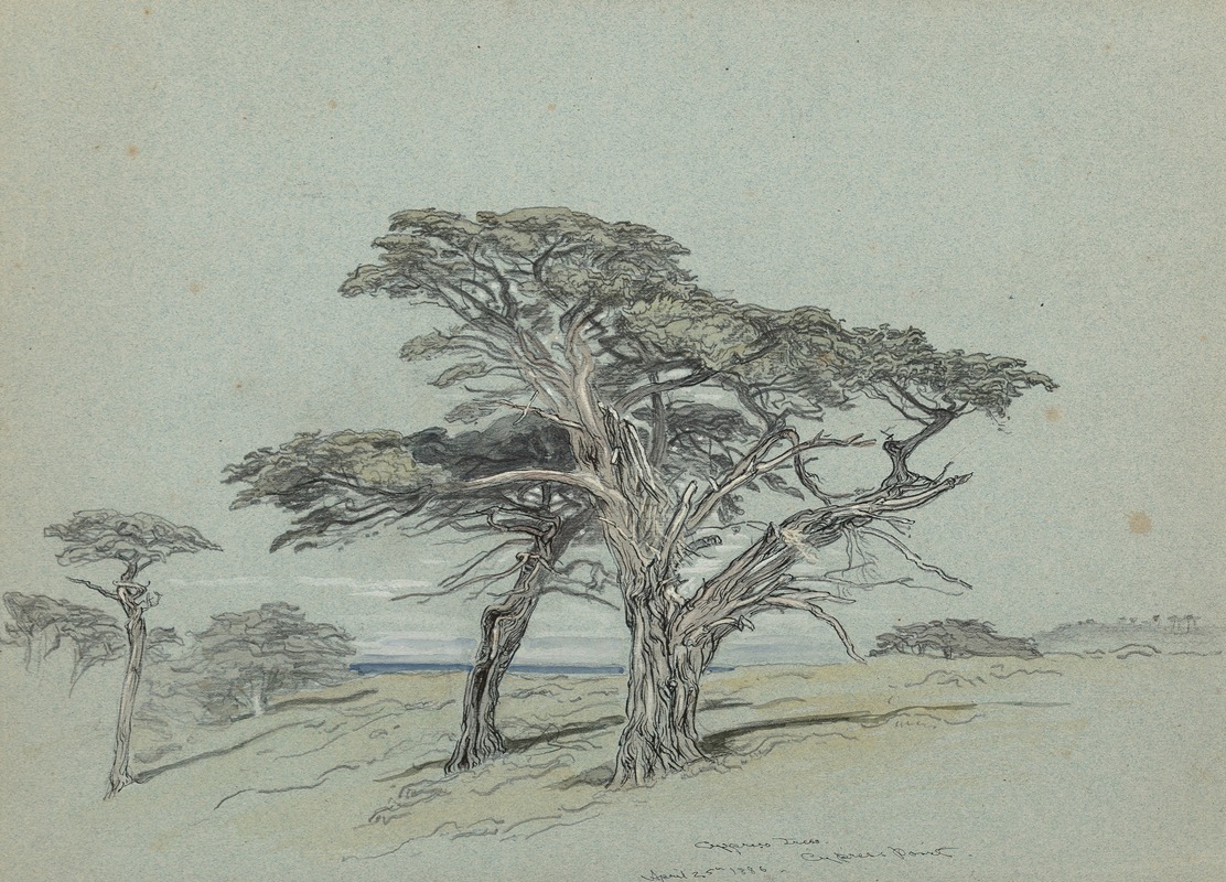 Samuel Colman - Cypress Trees, Cypress Point