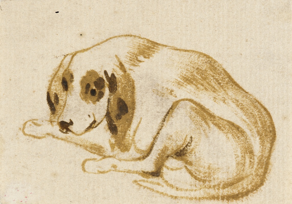 Frans Snyders - Studies of Dogs