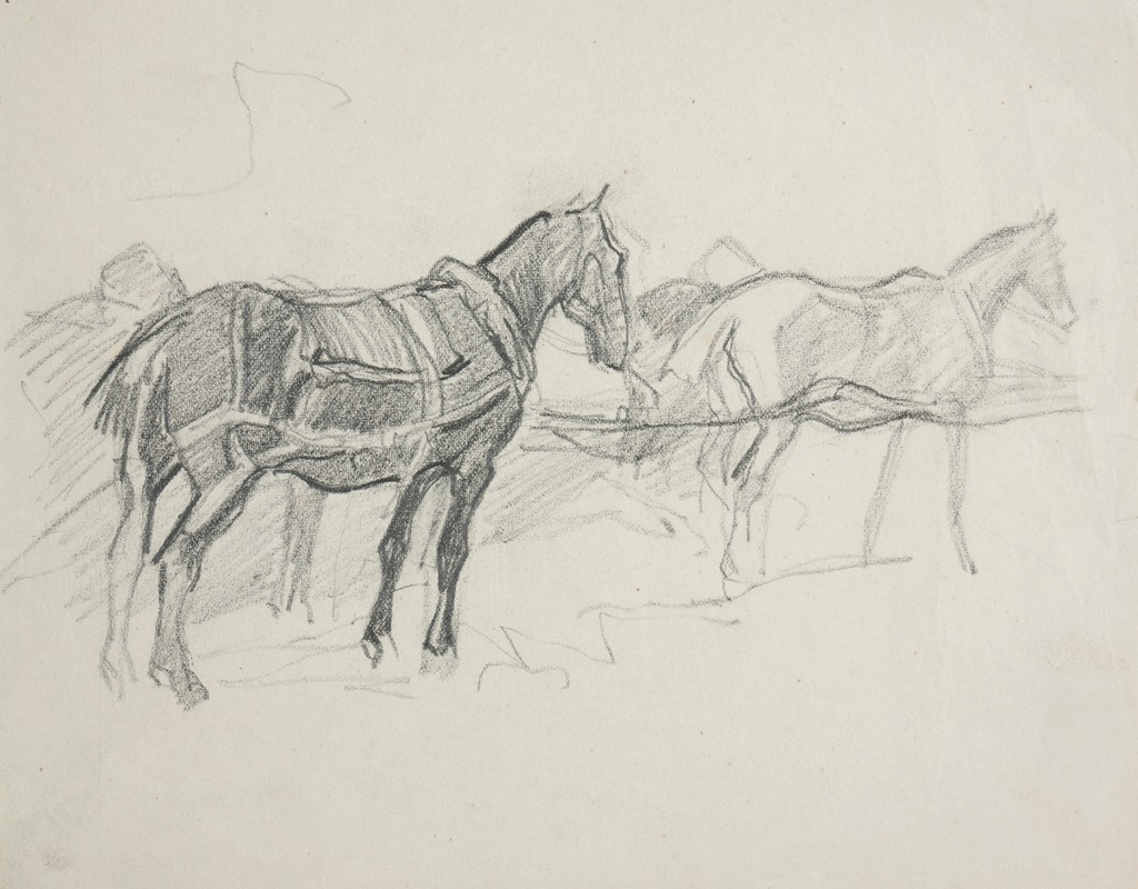 Ivan Ivanec - Szkice koni w uprzęży