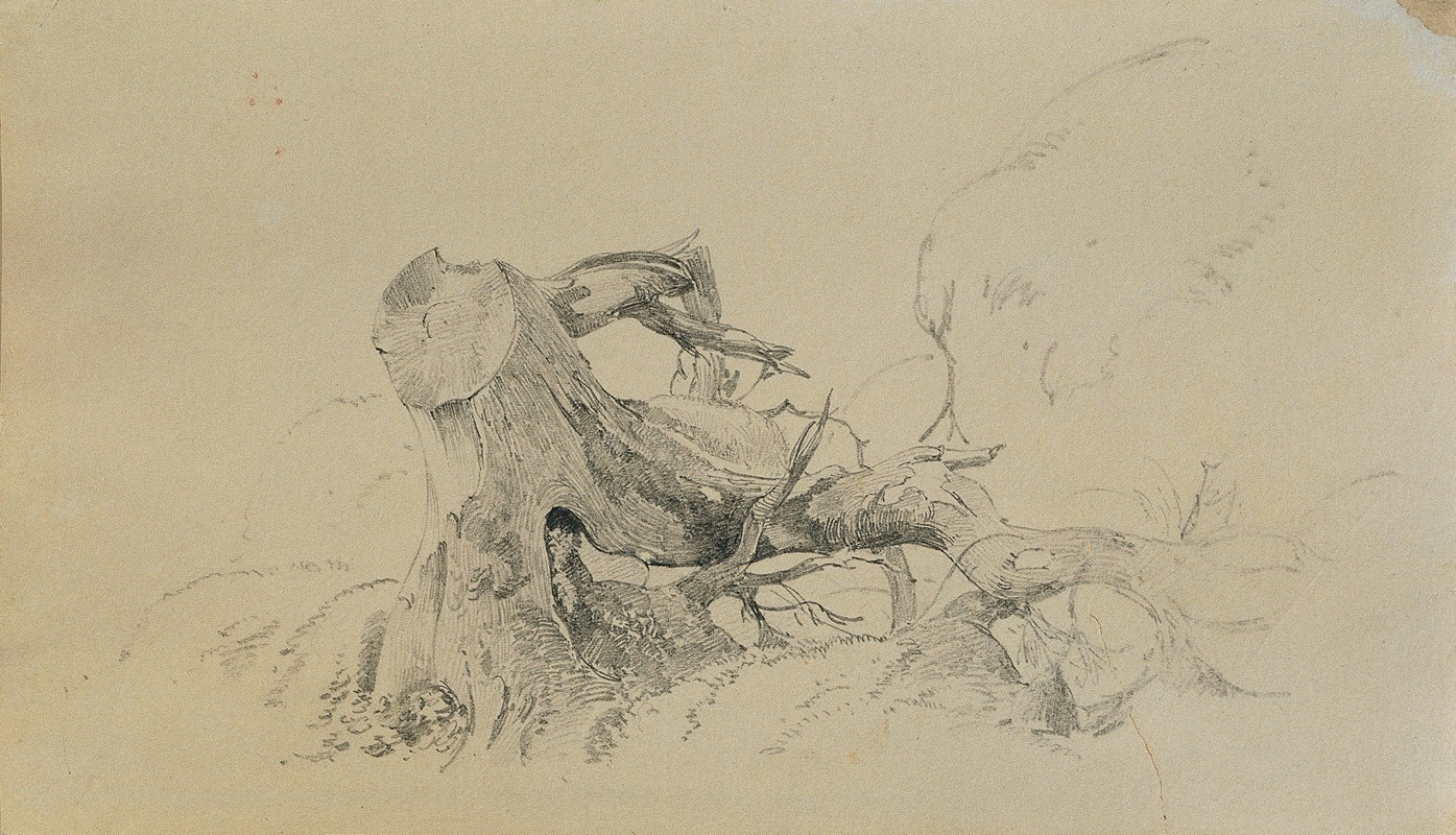 Johann Peter Krafft - Wurzelwerk, umgestürzter Baum