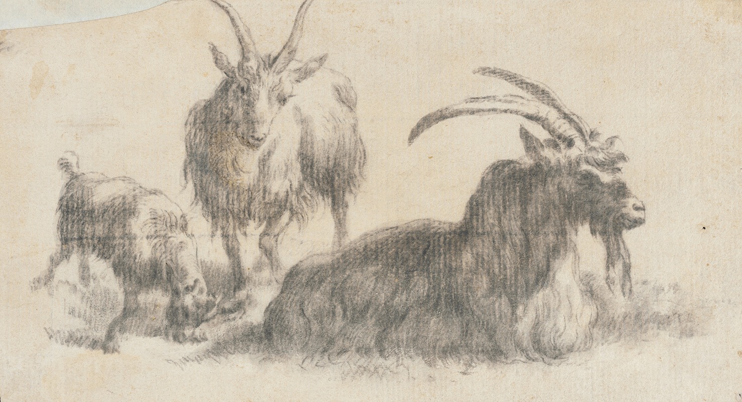 Marcus de Bye - Ram, Ewe and Kid