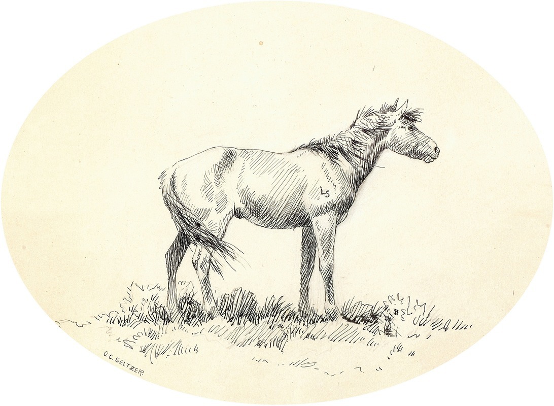 Olaf C. Seltzer - Indian Pony