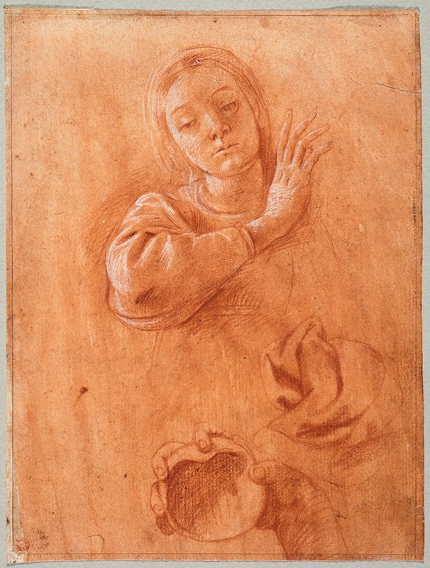 Tanzio da Varallo - Studies of the Virgin, Drapery, and the Hand of Saint John the Baptist Holding a Shell