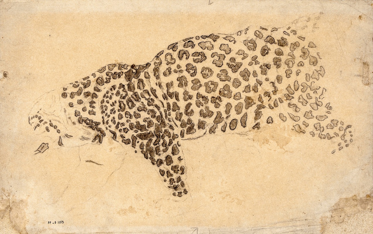 Antoine-Louis Barye - Etude de léopard