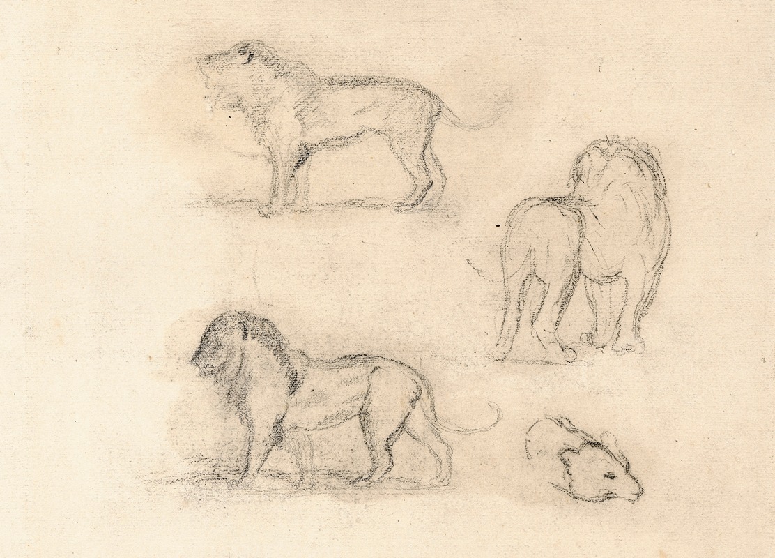 Antoine-Louis Barye - Etude de trois lions et une tête d’ours