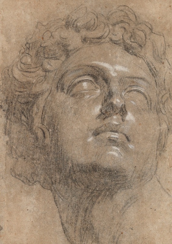 Jacopo Tintoretto - Head of Giuliano de’ Medici, after Michelangelo