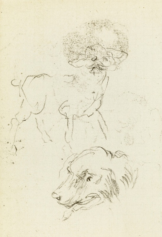 Jean-Baptiste Carpeaux - Etude de chien et de tête de chien