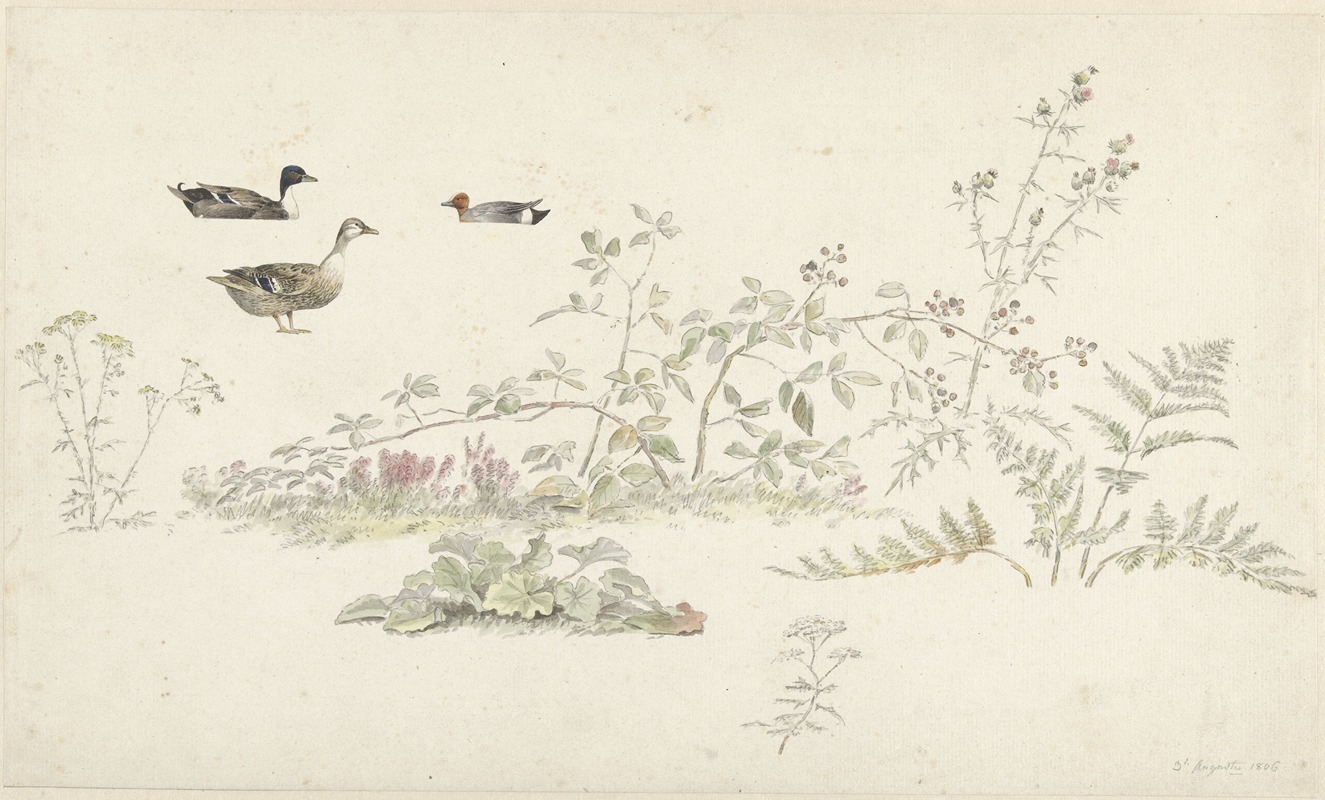 Josephus Augustus Knip - Studieblad met planten en watervogels