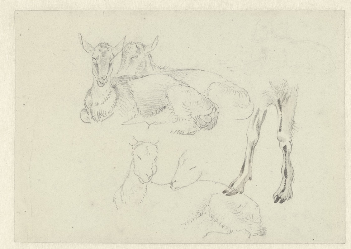 Josephus Augustus Knip - Studies of Goats