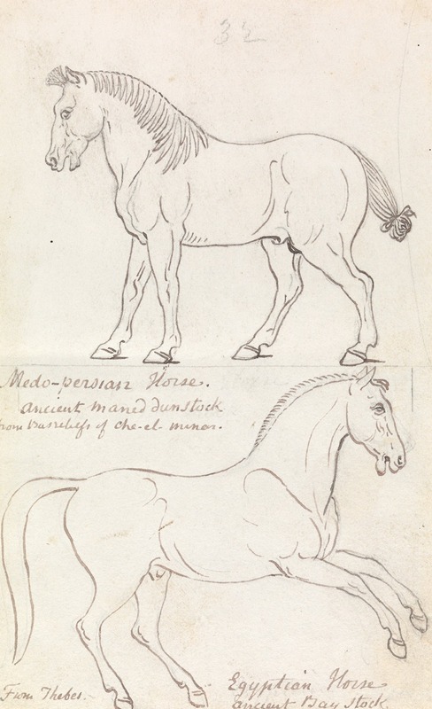 Charles Hamilton Smith - Medo-Persian Horse and Egyptian Horse