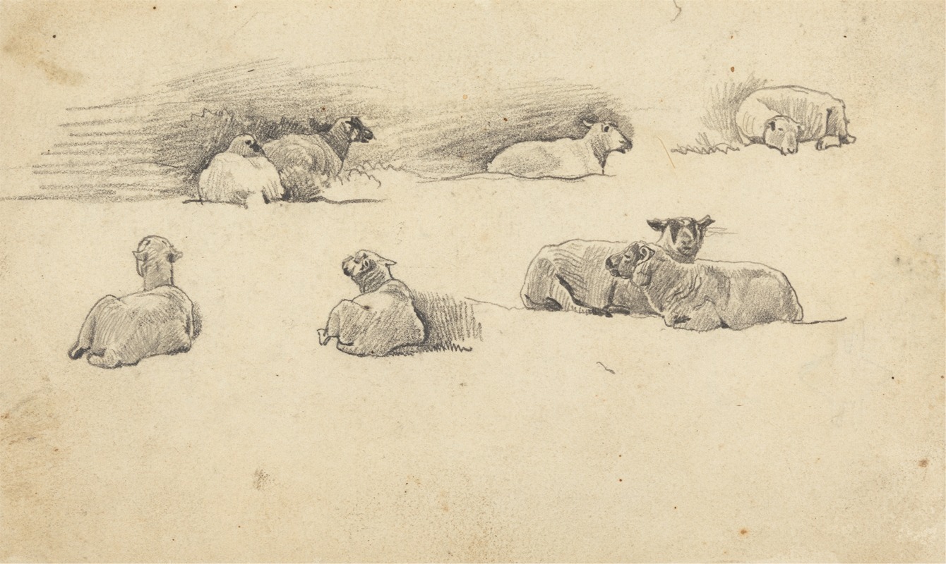 Cornelius Varley - Study of Sheep