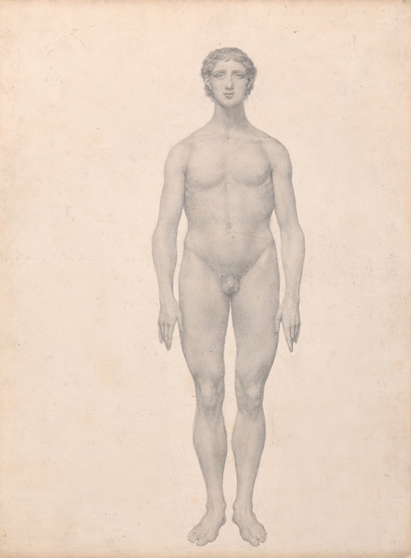 George Stubbs - Human Figure, Anterior View, Undissected
