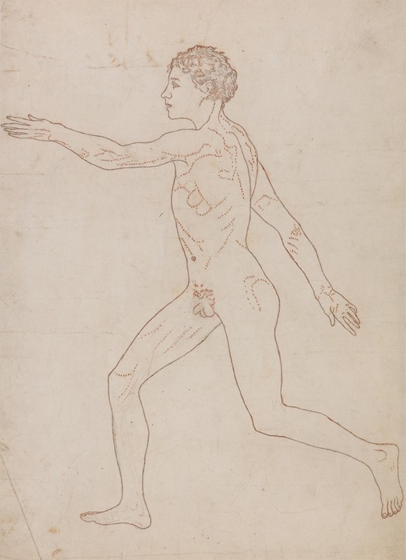 George Stubbs - Human Figure, Lateral View