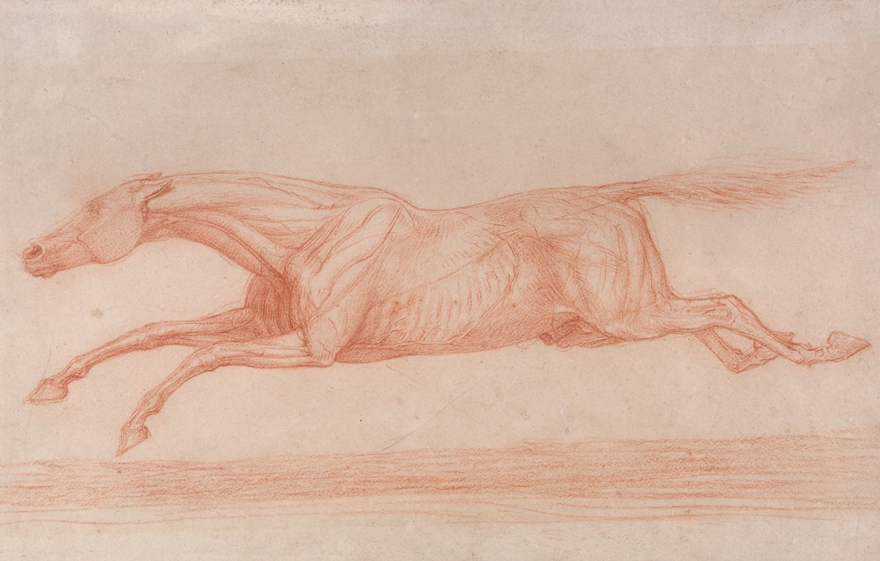 George Stubbs - Study of a Racehorse in Action; Galloping to Left, a Semi-Anatomical Study, with Skin Flayed to Show Action of Muscles