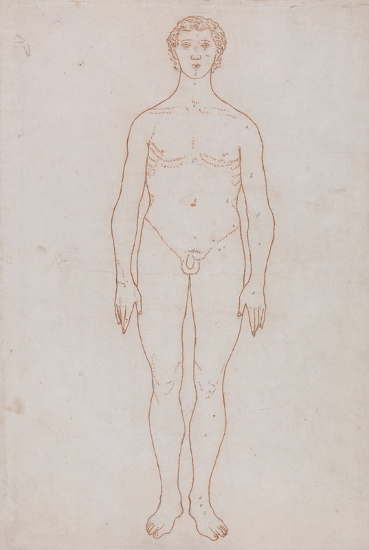 George Stubbs - Study of the Human Figure, Anterior View