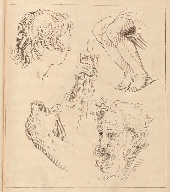 Hamlet Winstanley - Sketches of Hands, Heads, and Legs
