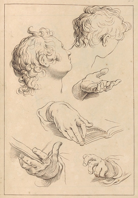 Hamlet Winstanley - Various Sketches of Heads and Hands