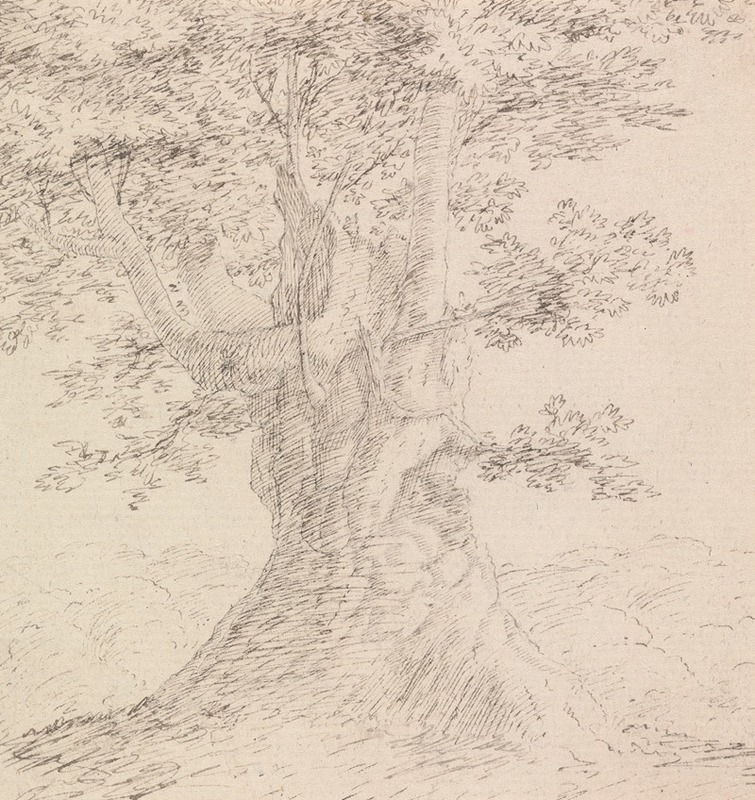 Henry Swinburne - Tree Study