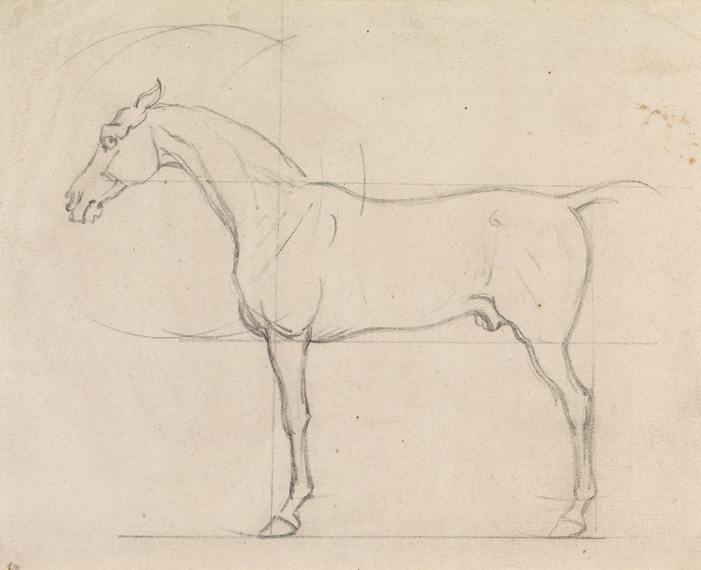 James Seymour - Profile of a Horse Facing Left