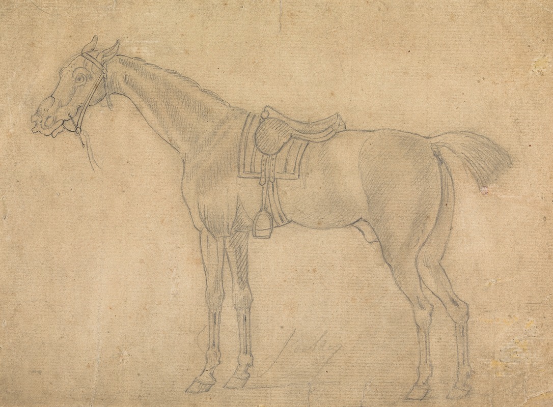 James Seymour - Saddled Horse Facing Left