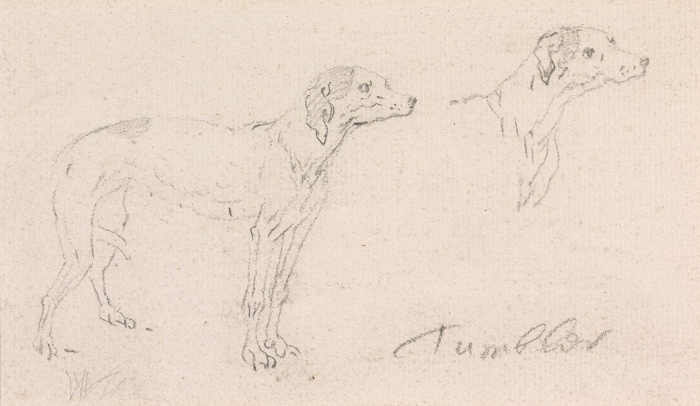 James Seymour - Two Studies of Tumbler, a Dog