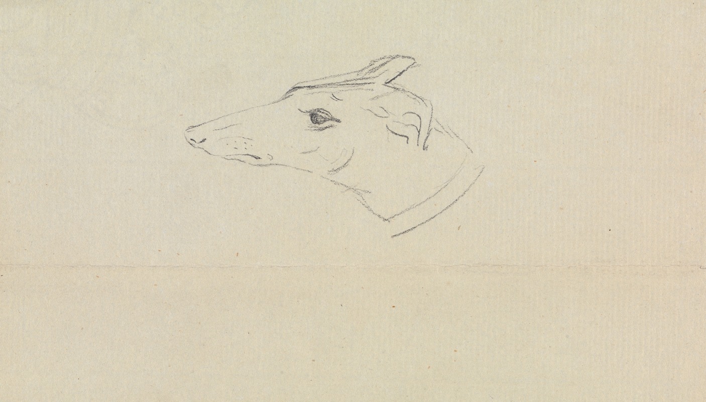 James Sowerby - A Dog’s Head