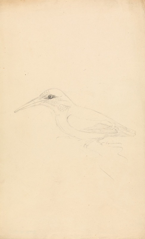 James Sowerby - A Kingfisher