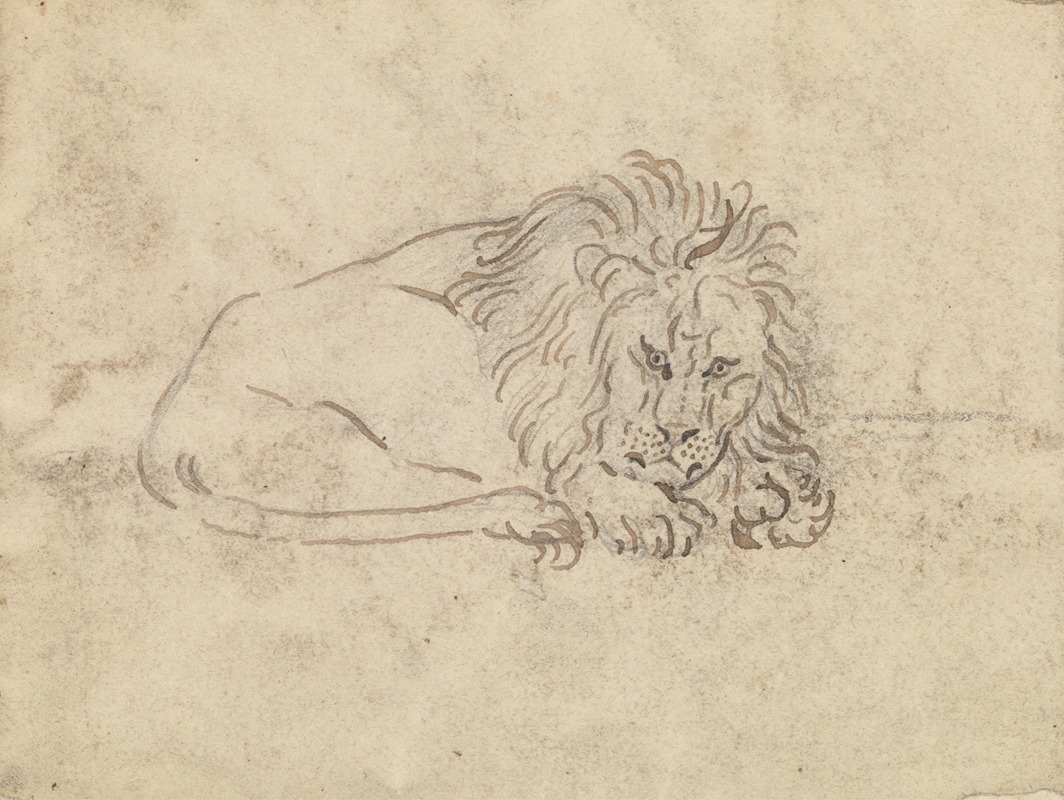 James Sowerby - A Lion