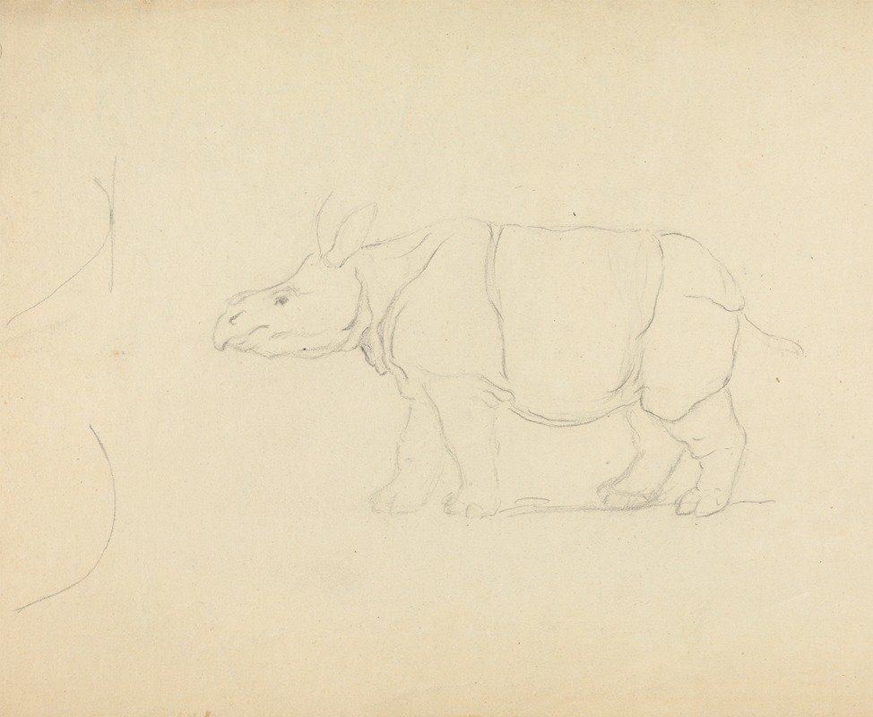 James Sowerby - A Rhinoceros