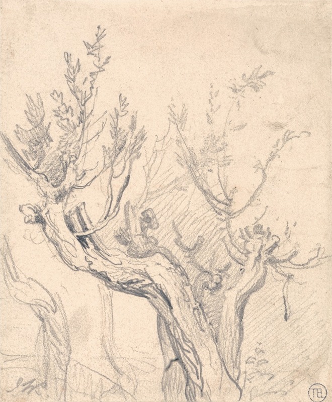 James Ward - A Gnarled Tree