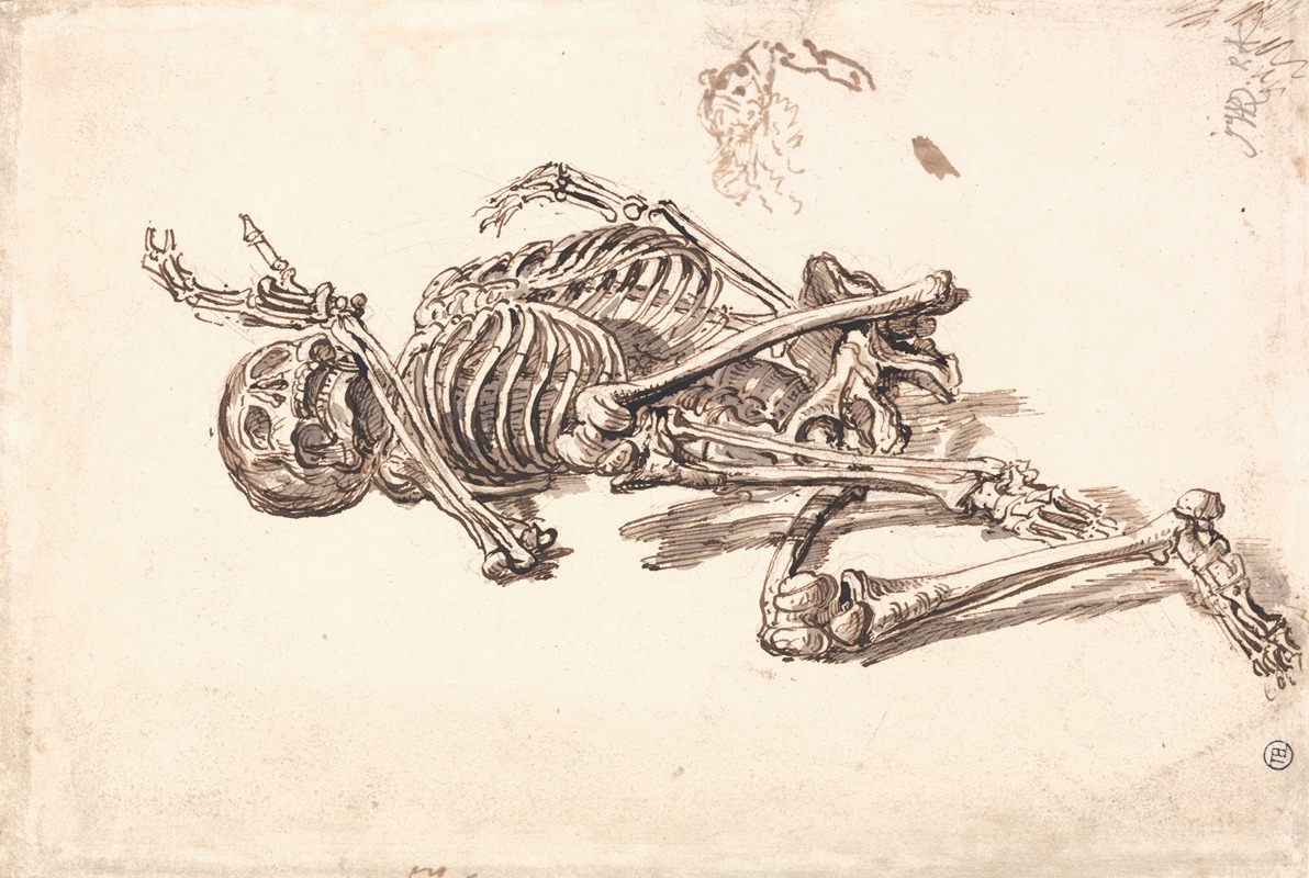 James Ward - A Human Skeleton