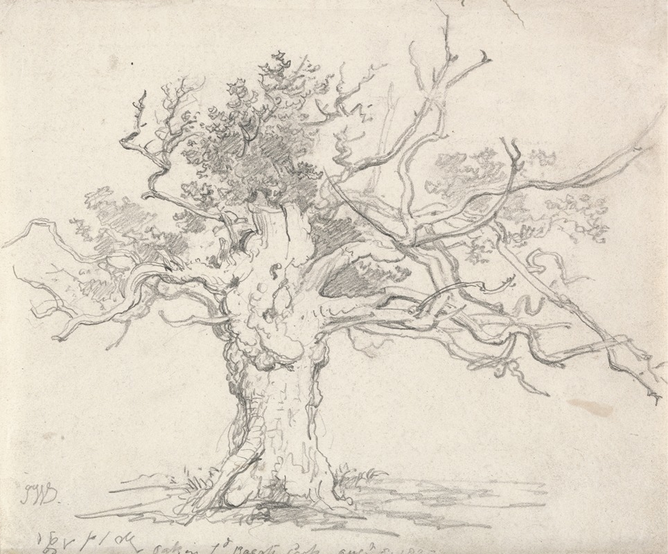 James Ward - A Stunted Oak