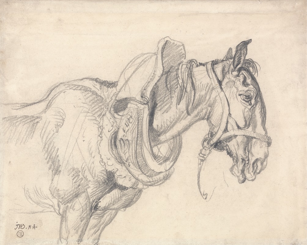 James Ward - Head and Shoulders of a Cart Horse