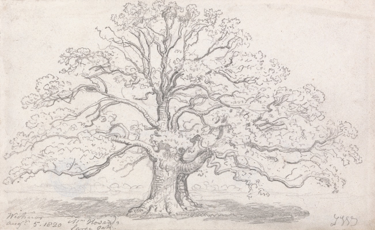 James Ward - Mr. Howard’s Large Oak, August 5, 1820