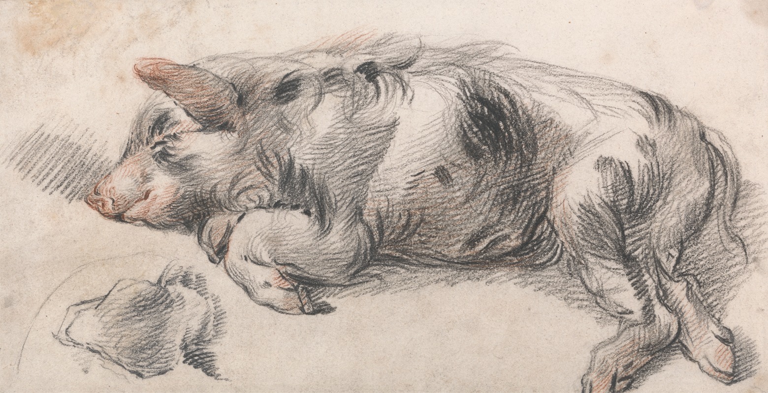 James Ward - Sleeping Pig