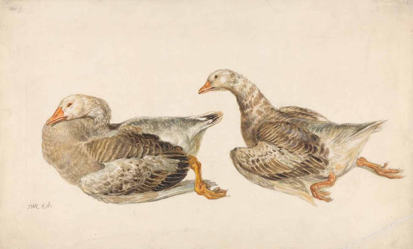 James Ward - Studies of Geese