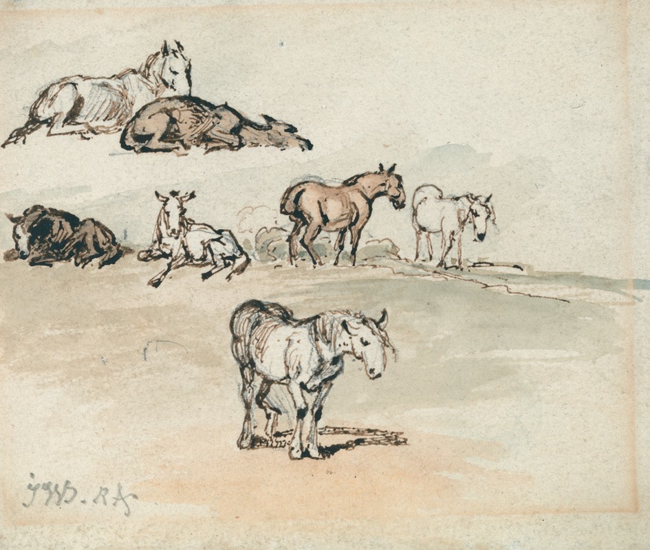 James Ward - Studies of Horses