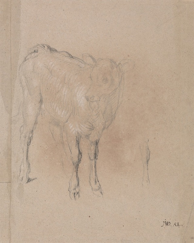 James Ward - Study of a Calf