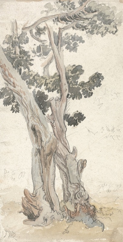James Ward - Study of a Tree