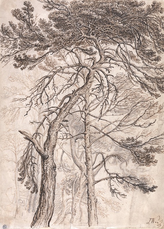 James Ward - Study of Trees