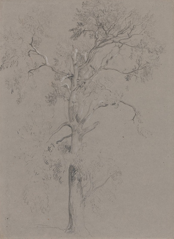 Peter DeWint - Ash Tree in Ashstead Park