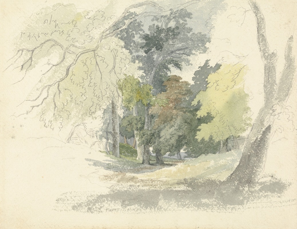 Robert Hills - A Woodland Glade
