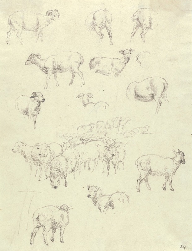 Robert Hills - Flock of Sheep