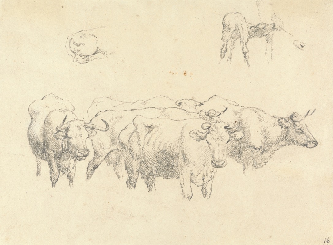 Robert Hills - Study of Cows with Calf