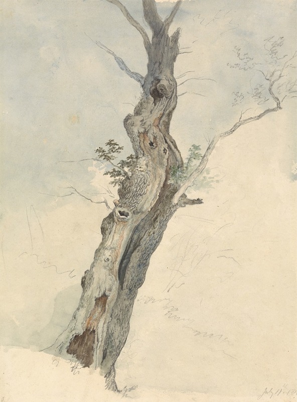 Robert Hills - Tree Study