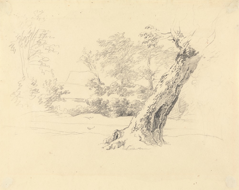 Robert Hills - Tree Study