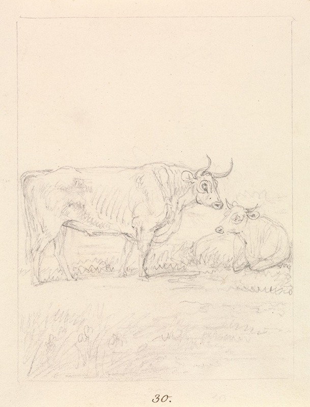 Samuel Howitt - Bull and Cow