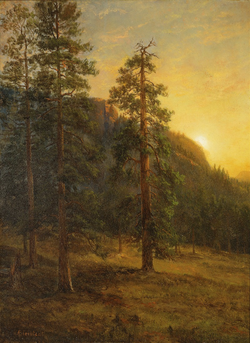 Albert Bierstadt - California Redwoods