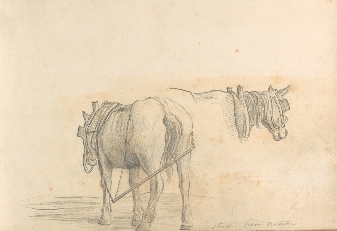 William Brockedon - Studies from Nature (two horses)